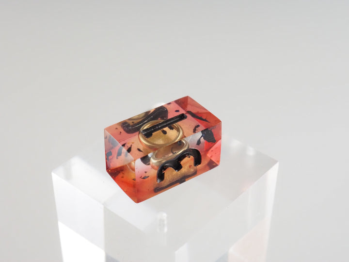 The favourite Ring