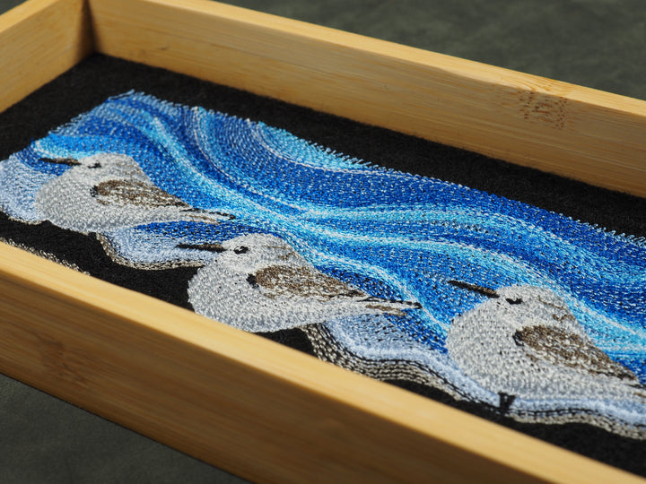 Strandläufer Dicetray