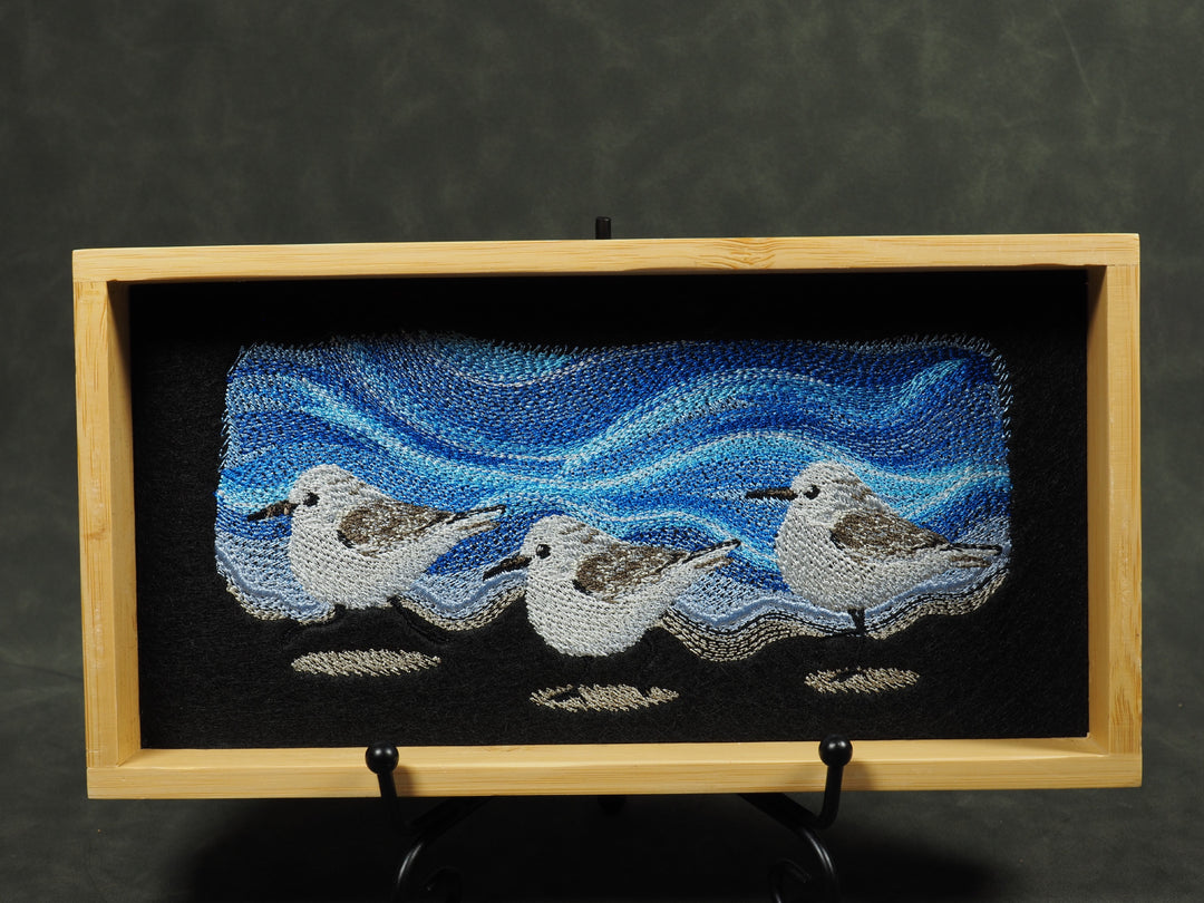 Strandläufer Dicetray