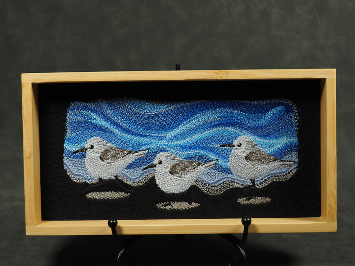 Strandläufer Dicetray