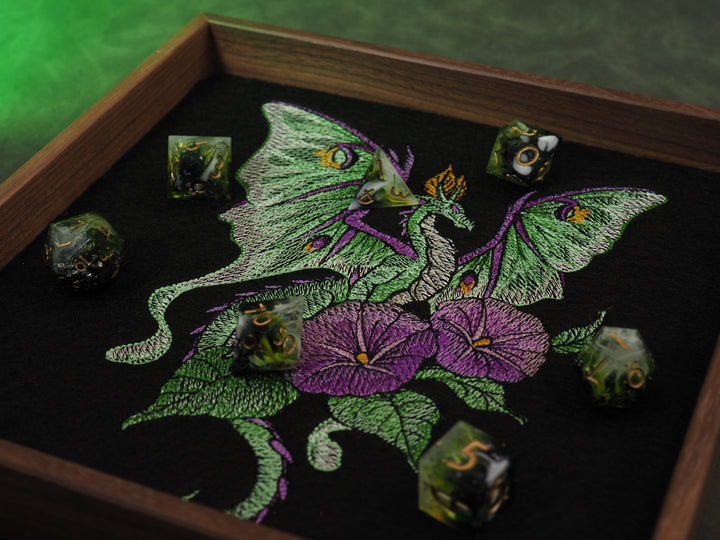 Mottendrache Dicetray